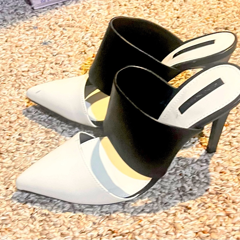 Zara mule